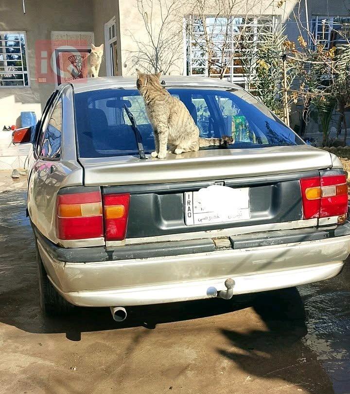 ئۆپڵ ڤێکترا